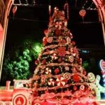 Árbol en el Hotel Marquis Reforma