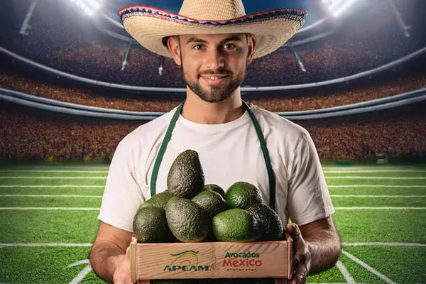 110 mil toneladas de aguacate mexicano se exportan para el Super Bowl LIX