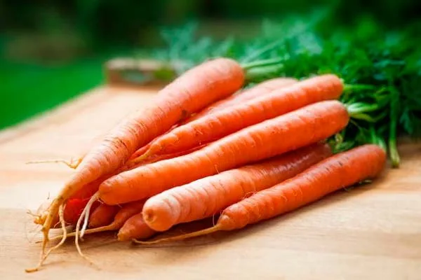 6 datos que te convencerán de lo necesario que es consumir zanahorias