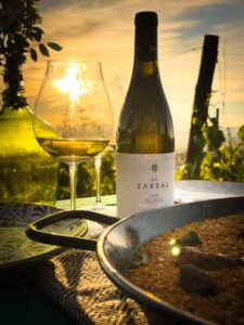 Vinos bodegas Emilio Moro