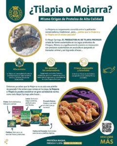 Información mojarra Regal Springs