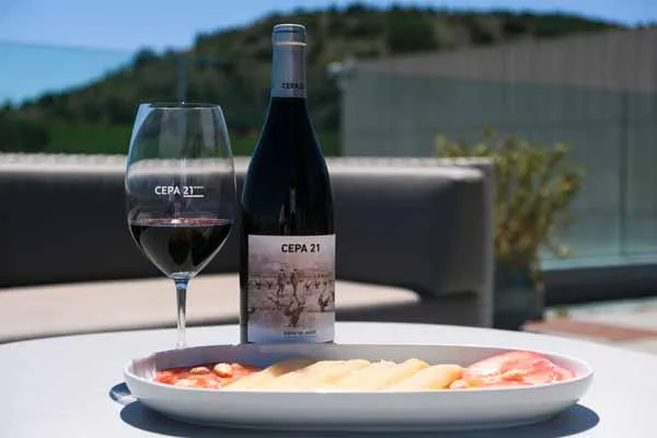 Vinos para Día de la Madre: Elige el Cepa 21 ideal según su personalidad