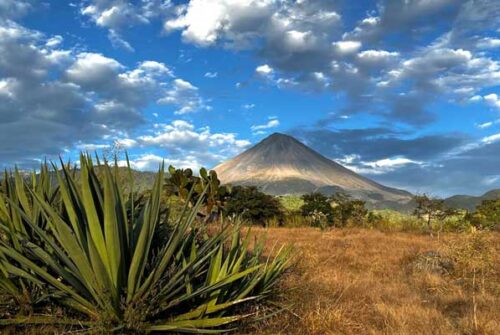 Descubre la imperdible Ruta del Agave en Manzanillo 9 Descubre la imperdible Ruta del Agave en Manzanillo