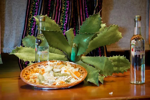 Turicato está de fiesta, celebrará el 3er Festival del Mezcal y la Enchilada
