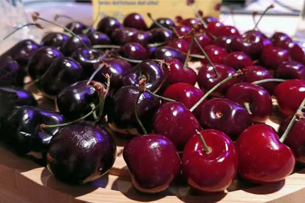 Cerezas del Noroeste: Una cosecha histórica que conquista México este verano