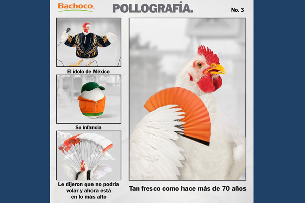 Día del Pollo: una proteína esencial en la dieta de los mexicanos 1 Día del Pollo: una proteína esencial en la dieta de los mexicanos