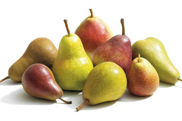 Peras Bartlett de California: el lujo natural que enamora a los paladares gourmet 1 Peras Bartlett de California: el lujo natural que enamora a los paladares gourmet
