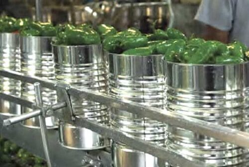 Rompiendo mitos: alimentos enlatados, verdades y beneficios