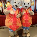 ¡Vive la Kräftskiva en México! IKEA invita a su tradicional Crayfish Party 6 mascotas Crayfish Party