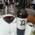 Vinos Bodegas del Viento