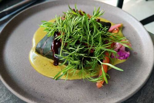 Reserva Santa Fe celebra el Día del Hongo con gastronomía ecológica y Zero Waste 6 Reserva Santa Fe celebra el Día del Hongo con gastronomía ecológica y Zero Waste