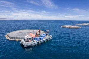 granjas marinas de totoaba Santomar