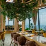 OpenTable revela los 50 Restaurantes Top en México para 2025 y tendencias gastronómicas para 2026 4 50 Restaurantes top en México Open Table