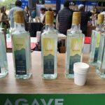 Mundo Mezcal 2025: Un debut de récord que consolida la cultura del agave en México 2 Venta de Bacanora