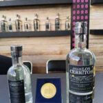 Mundo Mezcal 2025: Un debut de récord que consolida la cultura del agave en México 11 Mezcales oaxaqueños