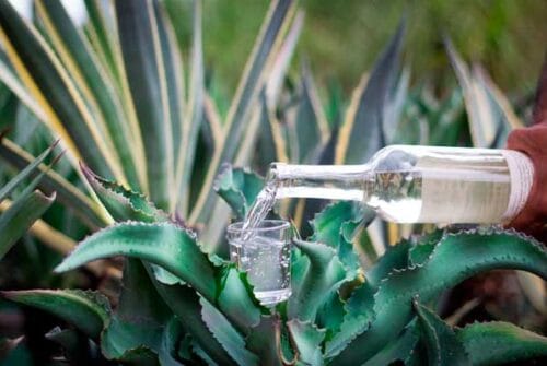 Cinco regalos con Denominación de Origen para sibaritas que ya lo tienen todo