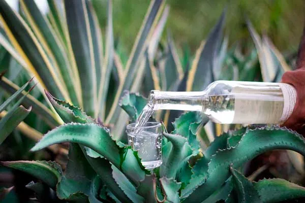 Cinco regalos con Denominación de Origen para sibaritas que ya lo tienen todo