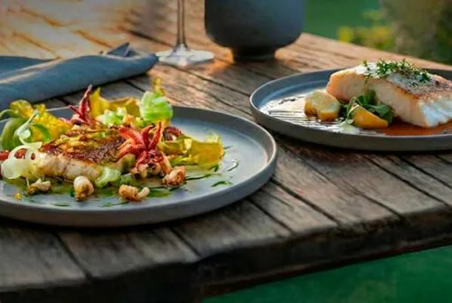 Totoaba y huachinango de cultivo: opciones responsables para menús de fin de año