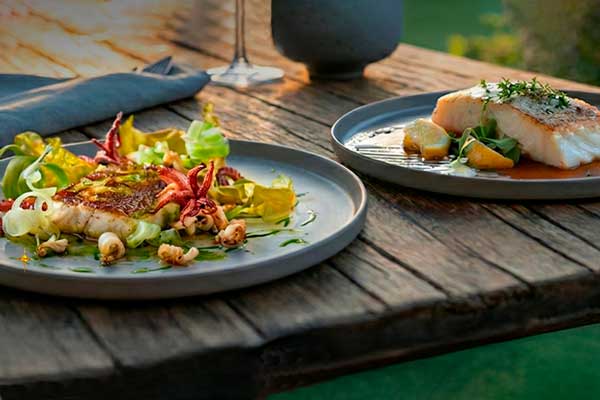 Totoaba y huachinango de cultivo: opciones responsables para menús de fin de año