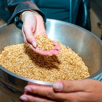 El alma de la cerveza: Por qué la malta es el secreto de una experiencia premium