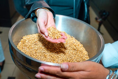 El alma de la cerveza: Por qué la malta es el secreto de una experiencia premium