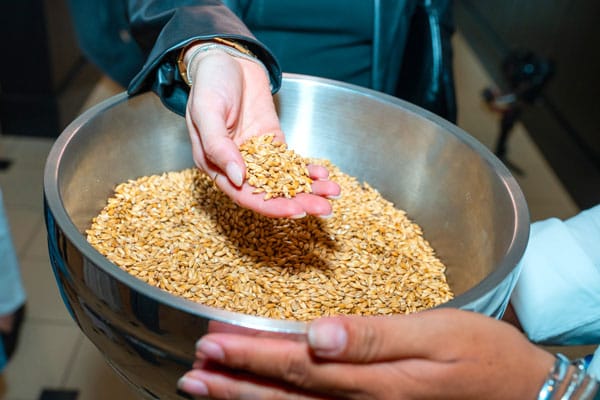 El alma de la cerveza: Por qué la malta es el secreto de una experiencia premium