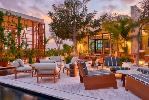 Tendencias en restaurantes 2026: Dónde comer en CDMX cuidando tu presupuesto este enero