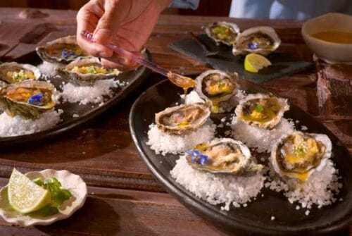 Santomar se une a la Guía México Gastronómico 2026: #Los250MX