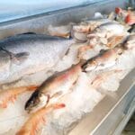 Pesca del Día en TESTAL Cocina de Mar