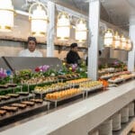 City Wok invita a celebrar el Día del Niño con una experiencia gastronómica internacional 2 Buffet City Wok