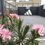 Restaurante Fuego: Cocina de brasa y acento de humo en la Colonia Roma 12 Cancha deportiva en restaurante Fuego