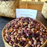 Frijoles Ayocote