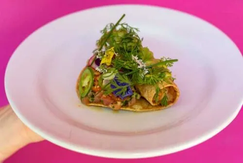 El chef Javier Plascencia y Mi Gusto Es se unen para crear la Tacostada y a apoyar una causa