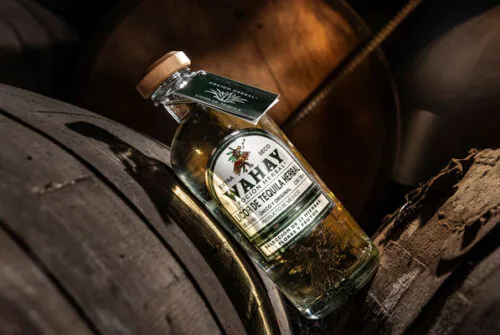 El homenaje al arte y al diseño en México, un brindis con WAHAY, poción herbal