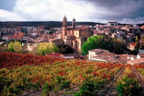 Mitos y realidades del vino: verdades que todo aficionado debe conocer
