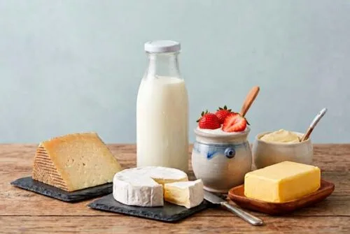 Redescubriendo los productos lácteos: ¿Qué grandes beneficios aportan a la salud?