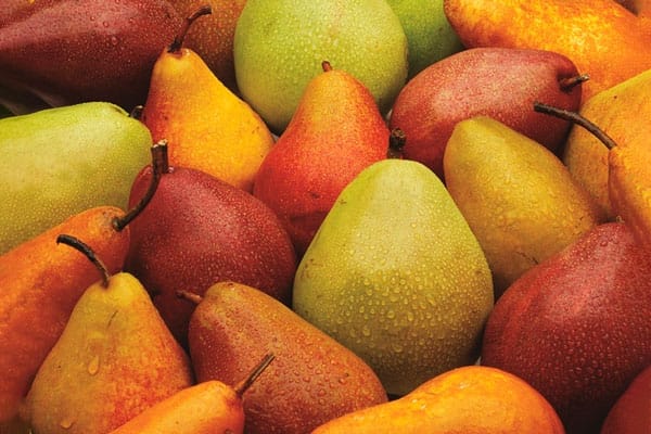 Peras de colores y variedades, por su nutrición y para hacer platillos diferentes