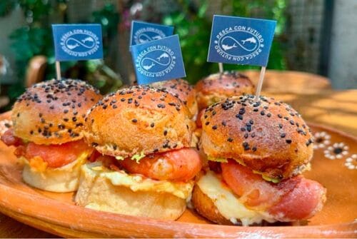 ¿Por qué vale la pena diversificar el consumo de pescados y mariscos mexicanos?