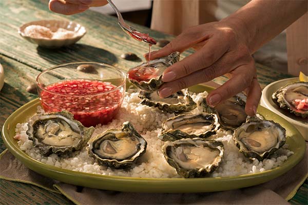 5 datos que explican el sabor tan especial de los ostiones de cultivo 🦪