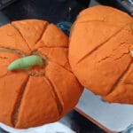 Calabaconcha