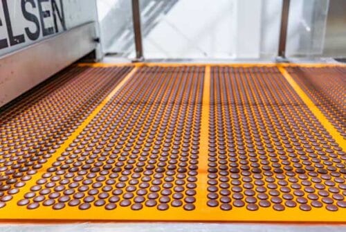 Barry Callebaut celebra 15 años de su planta de chocolate y cacao en Toluca