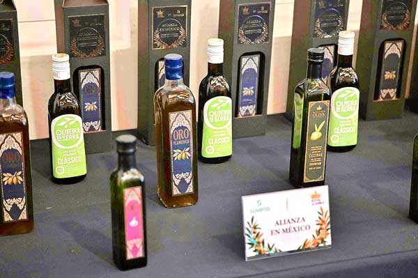 Aceite de oliva: Del Mediterráneo a la mesa mexicana con la alianza entre Aceitera La Española y Sovena Group